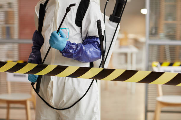 Professional Sewage Cleanup technician working in Loudon, TN